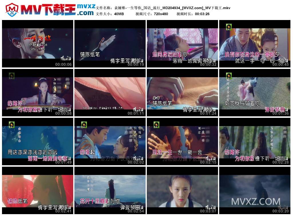 袁娅维-一生等你_国语_流行_MD204934